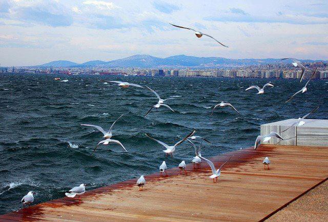 Blue City Center Boutique Apartment Tesalonika Bagian luar foto